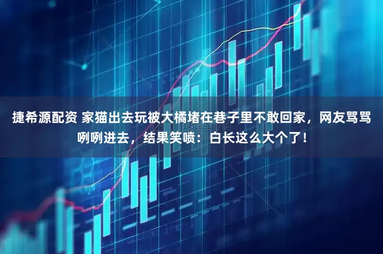 捷希源配资 家猫出去玩被大橘堵在巷子里不敢回家，网友骂骂咧咧进去，结果笑喷：白长这么大个了！
