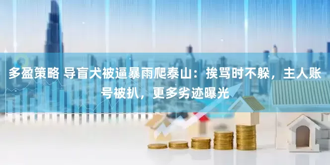 多盈策略 导盲犬被逼暴雨爬泰山：挨骂时不躲，主人账号被扒，更多劣迹曝光