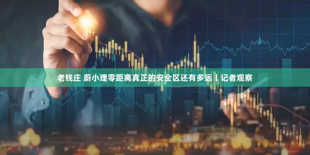 老钱庄 蔚小理零距离真正的安全区还有多远丨记者观察
