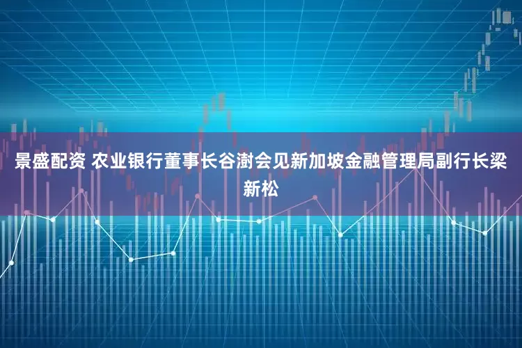 景盛配资 农业银行董事长谷澍会见新加坡金融管理局副行长梁新松